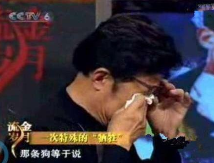 功勋军犬为拍戏被故意炸死,士兵哭到吐血,导演高呼:好,太好了