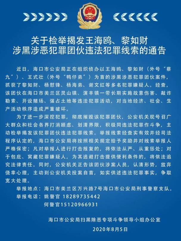 海口海鸥团伙落网图片