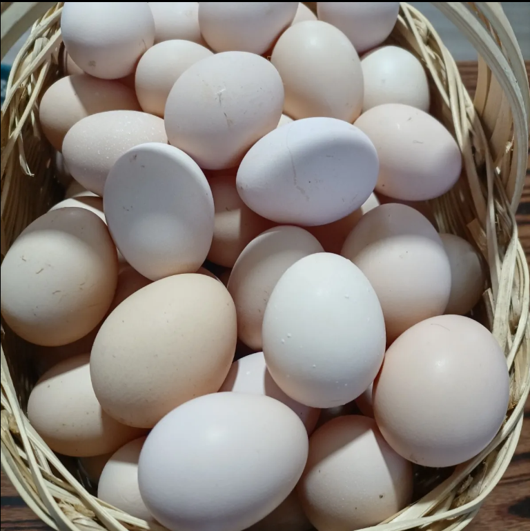 土鸡蛋农家散养跑山鸡蛋(多多~之莱耩园)谷物草鸡蛋