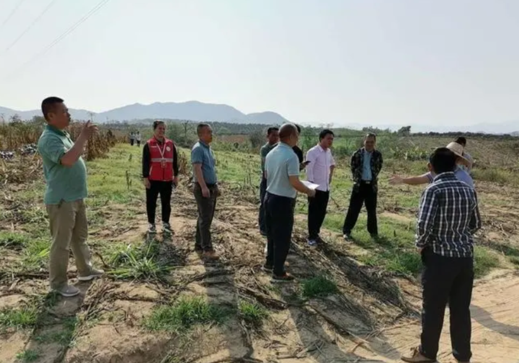 辽宁杀猪匠血案,11人死亡1人重伤,不能只看结果,背后原因复杂