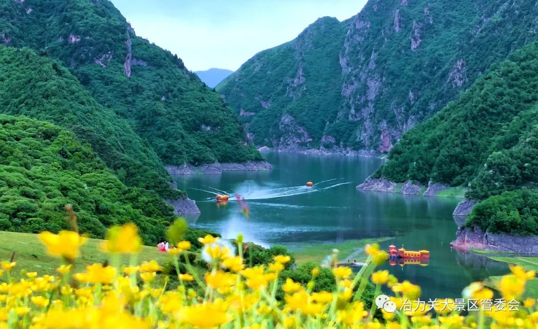 遇见甘南|奇山秀水冶力关