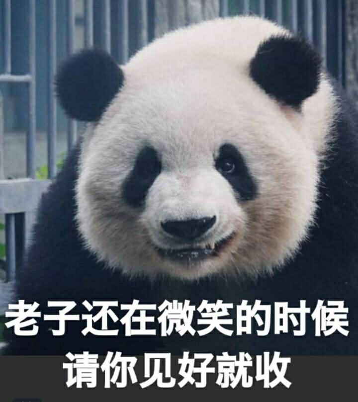 熊猫头嚣张表情包图片