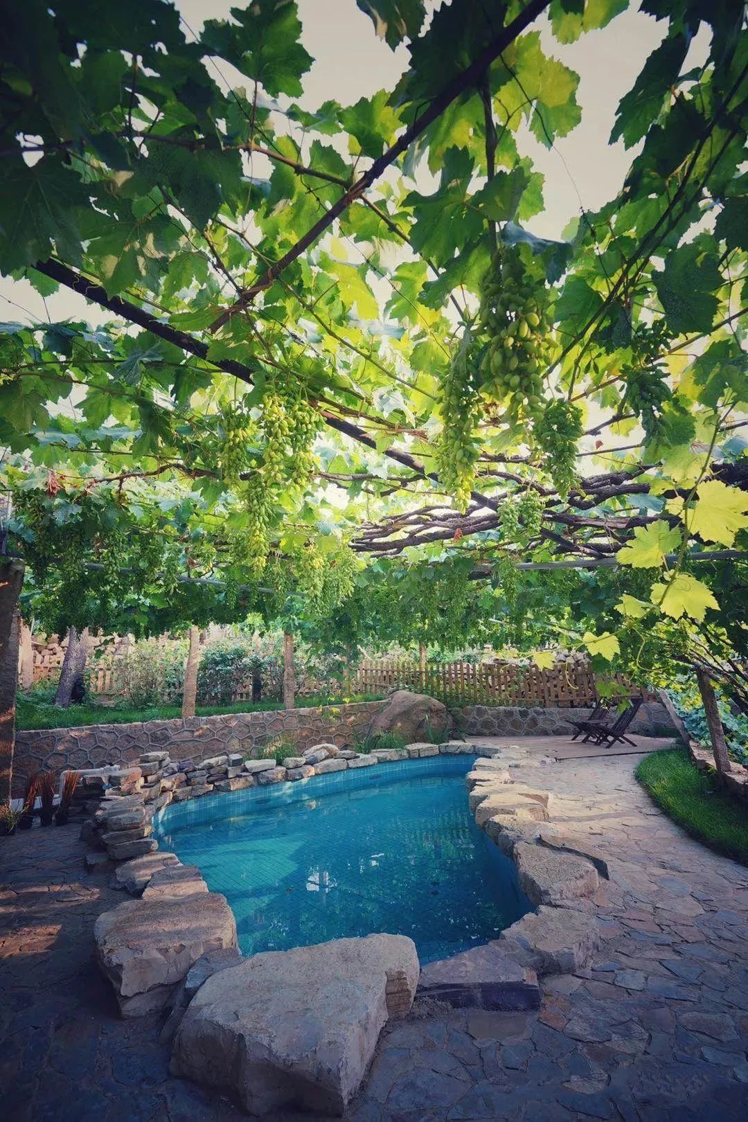 这个秋天,不妨来到葡萄小镇,体验诗意浪漫的慢生活