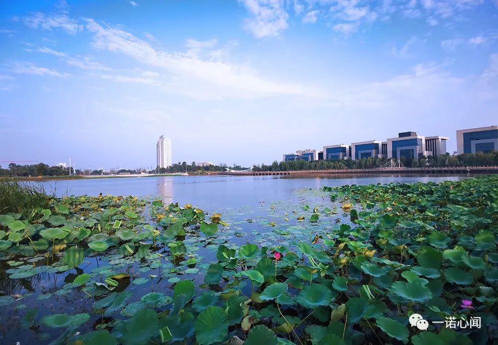 「安阳风光」美在新安东,看摄影家镜头下的礼湖美景