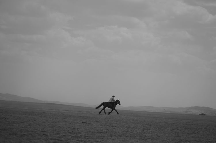 蒙古赛马黑白图片