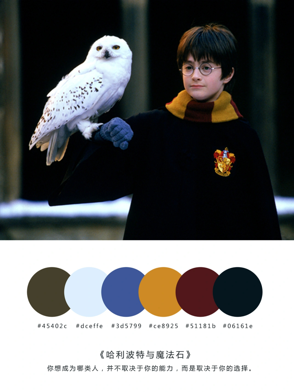 电影复古配色,哈利波特与魔法石,欢迎收藏你喜欢的配色.
