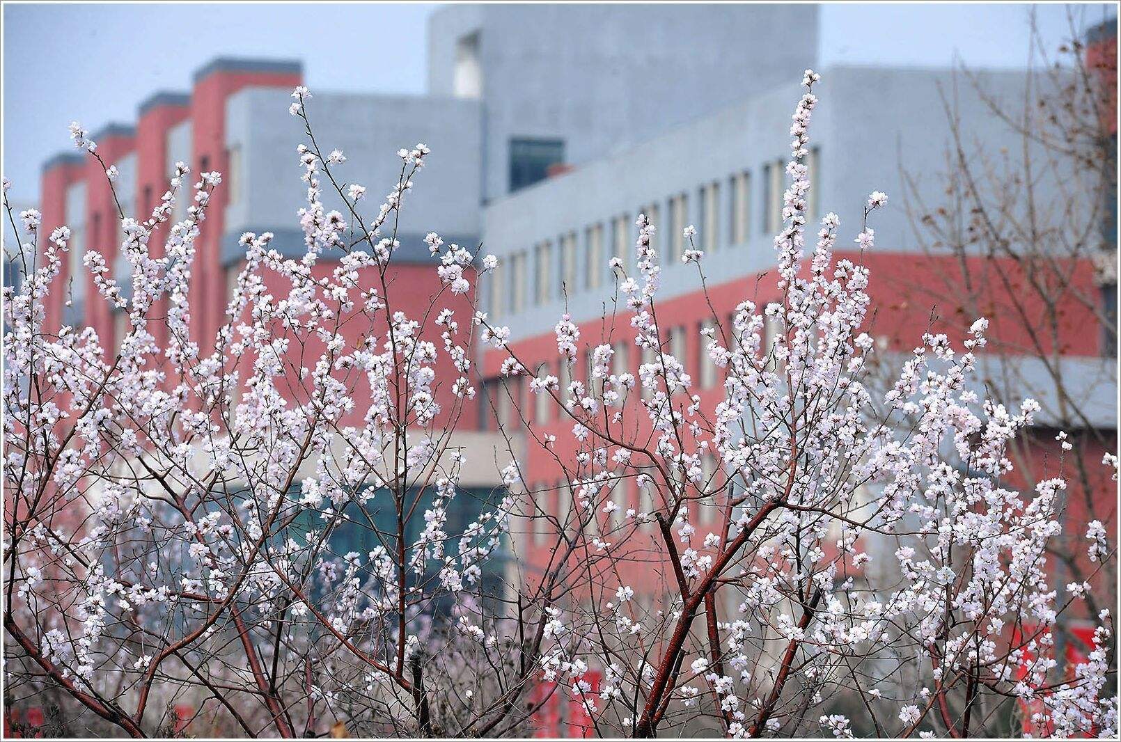 晋中学院 二本图片