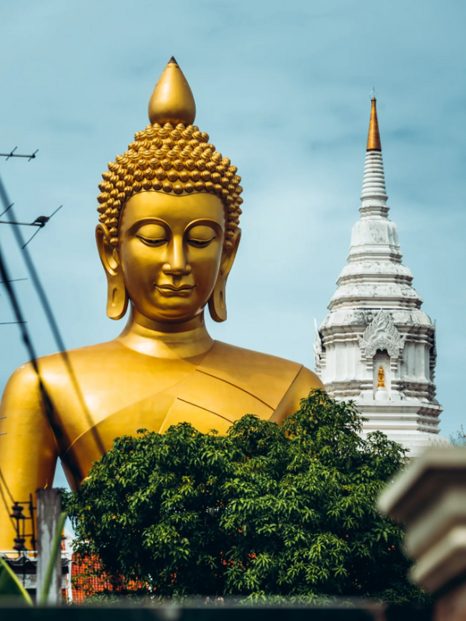 这座大佛位于水门寺,已经成为曼谷最新的地标性建筑.