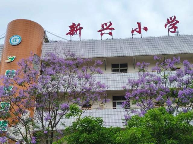 以德为先引领成长,良好习惯赋能美好
