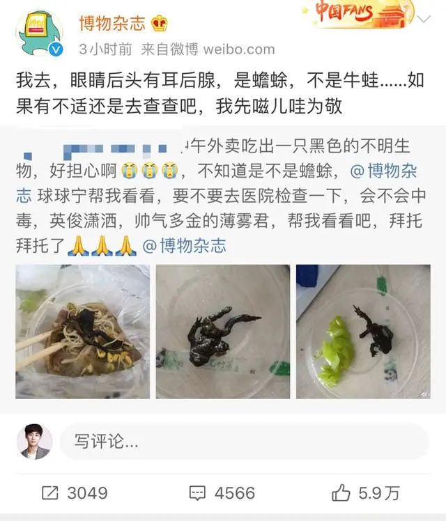 热点|看吐!姑娘点份外卖吃到一半发现癞蛤蟆,商家回应更让人窒息
