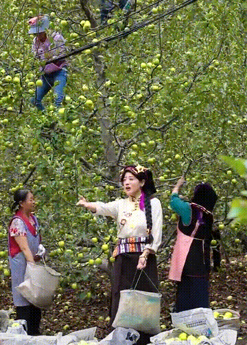 回顾四川女孩放弃高薪嫁藏族小伙到藏区农村生活助力乡村扶贫