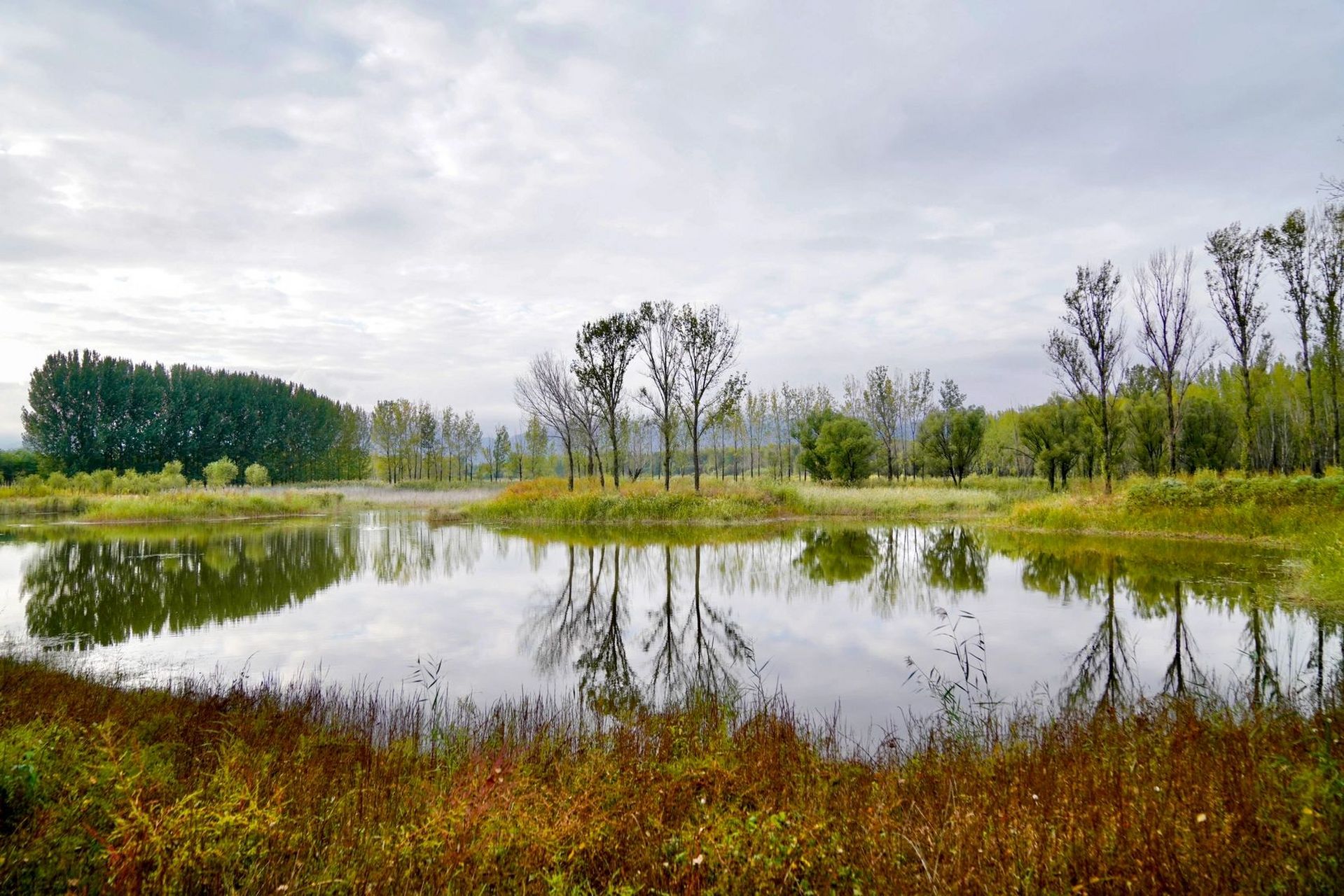 可以开车逛的宝藏公园|延庆妫河森林公园 这个地方实在太美了!