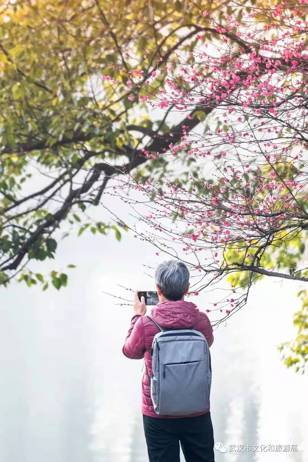 久仰久仰武漢女將