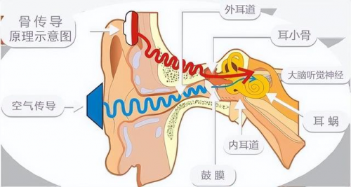 骨傳導耳機對耳朵有損害嗎?不僅沒有骨傳導耳機的好處更多