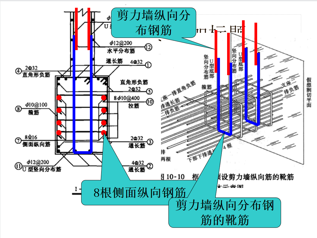 钢筋截面图解释图片