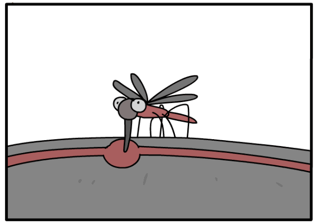 假如把一个人和一万只蚊子放在一起,人会被咬死吗?