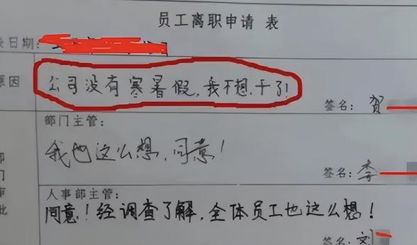 辞职信有人养我了图片