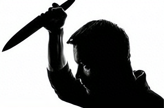 回顾95年程鹏案7年之间杀6人被抓后为何他的狗也被判了死刑