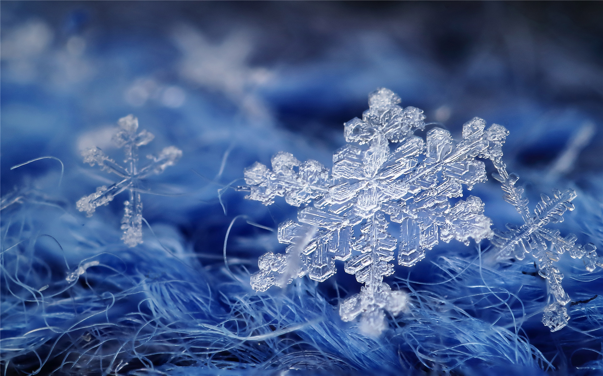 雪落故乡(散文,发表于2018年11月24日《绥化日报》黑土副刊)