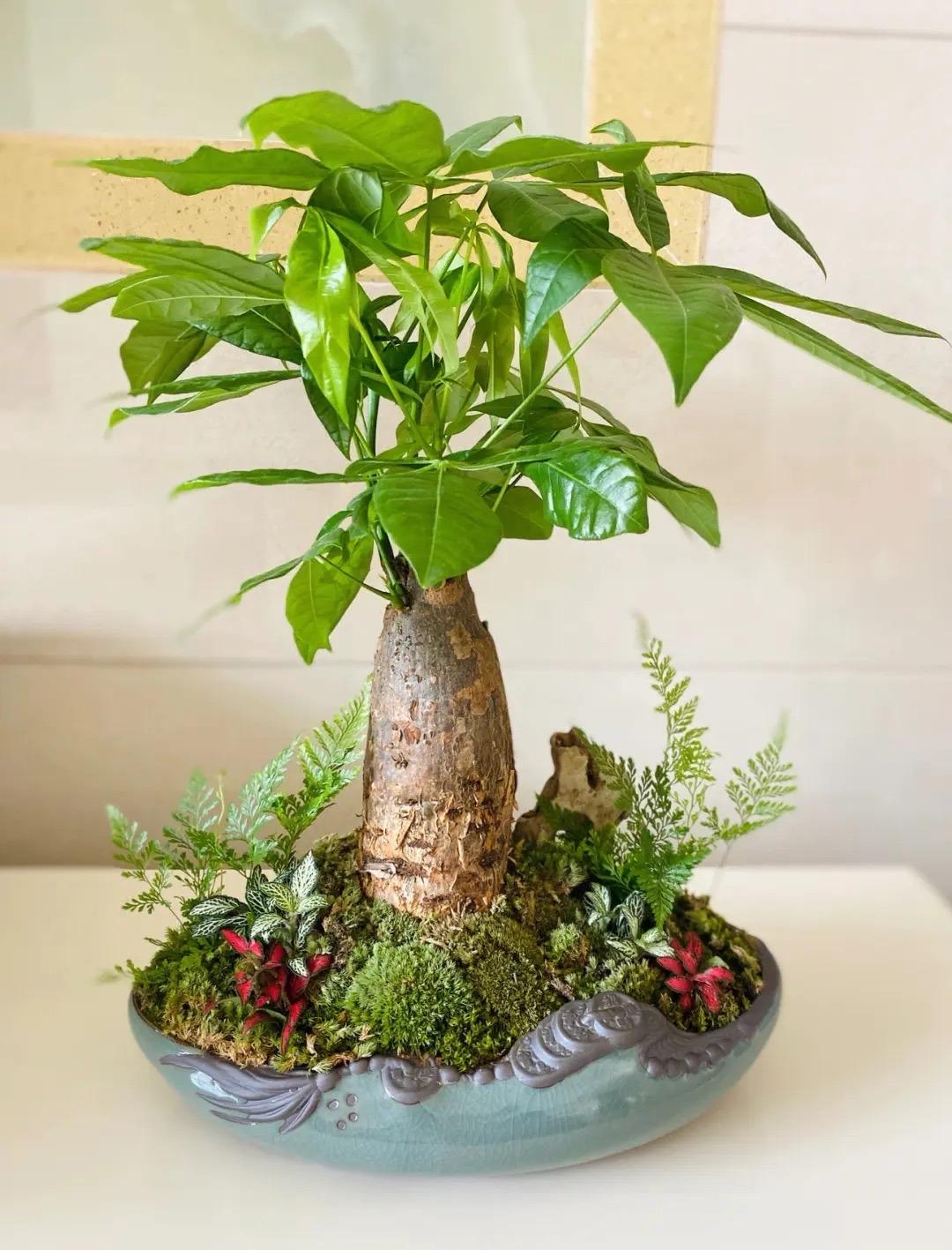 1080_1417竖版 竖屏