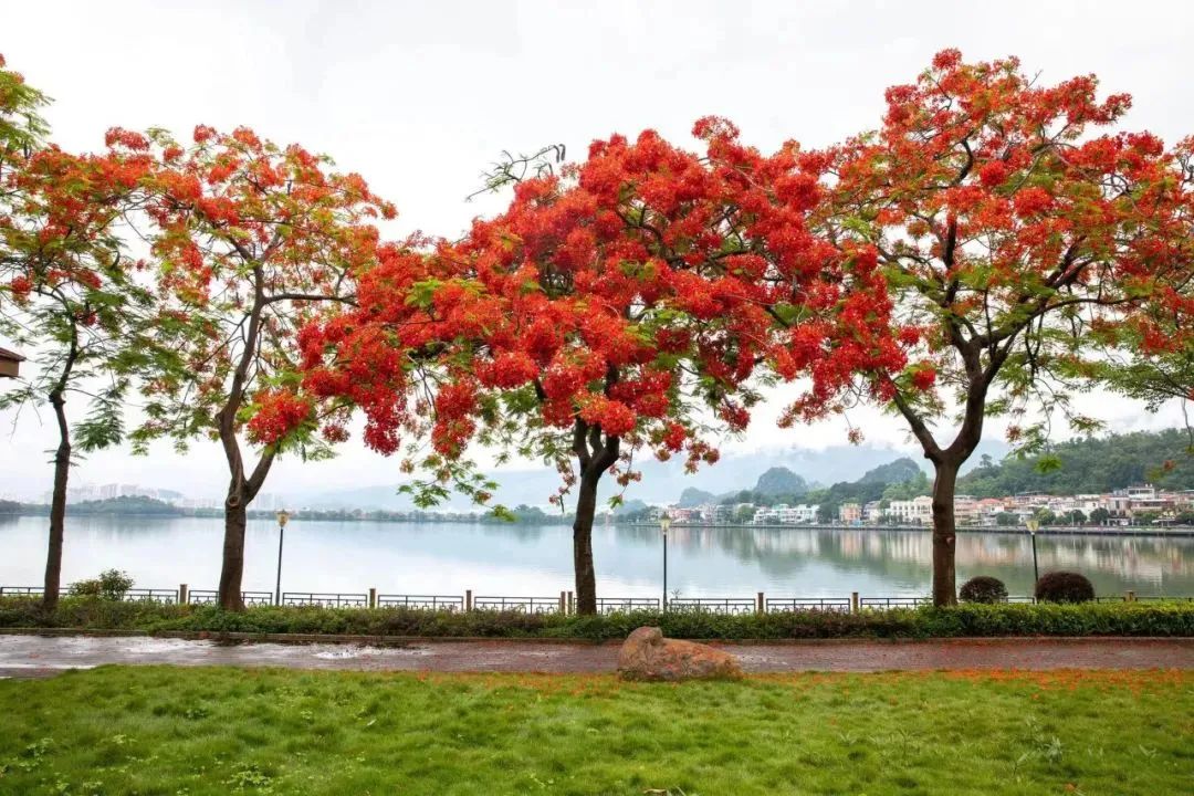 李大安诗词选——片刻归真融画境,由它碧洗荡尘心