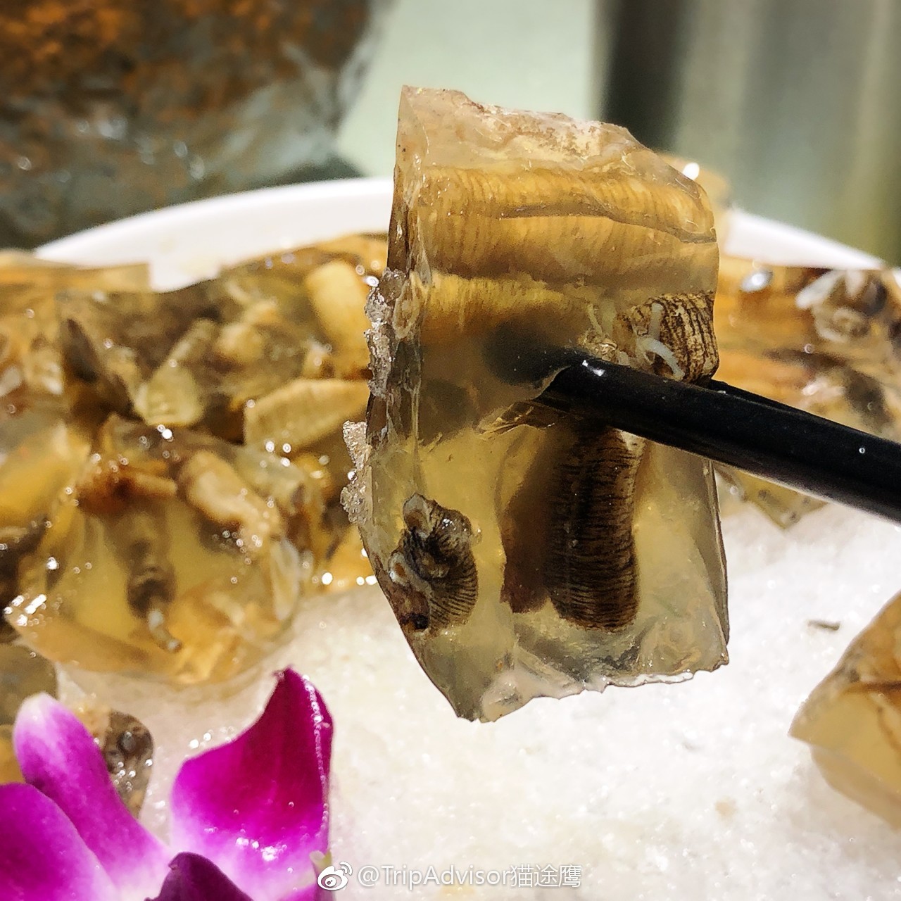 来福建泉州,一定要品尝的8道小吃,柔韧鲜香细腻,吃过不留遗憾