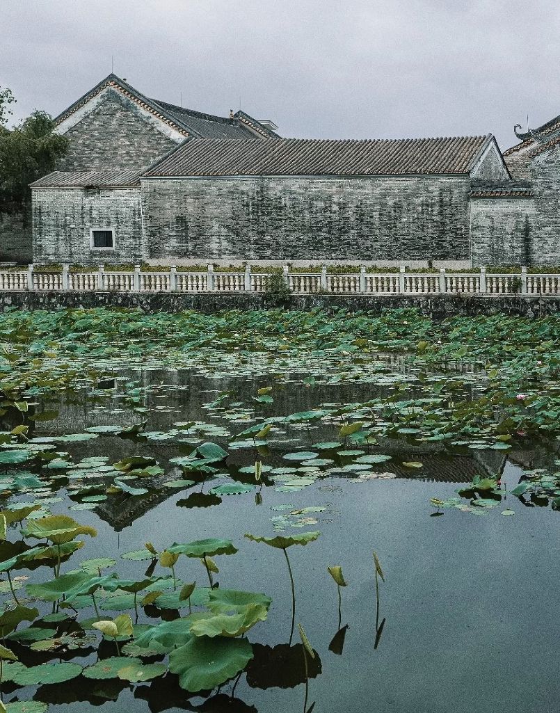 广州千年古村落,细看明清岭南水乡,闻到古时候的味道