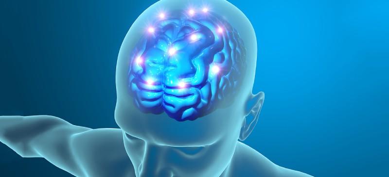 pqq(吡咯喹啉醌)的七大功效