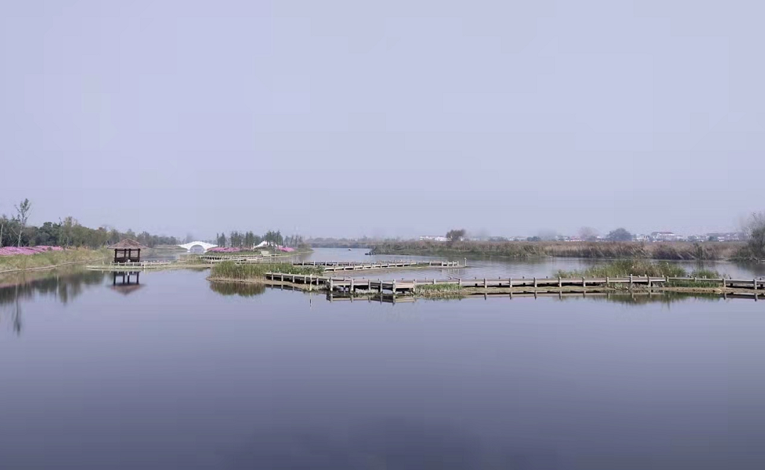 石龙湖湿地公园图片