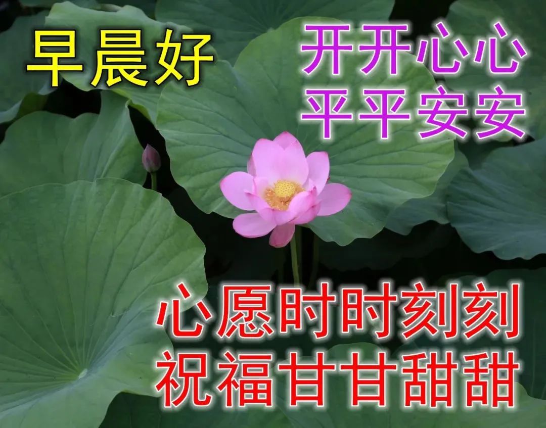 四月份新版的早上好祝福句子 早上好问候语图片表情精选