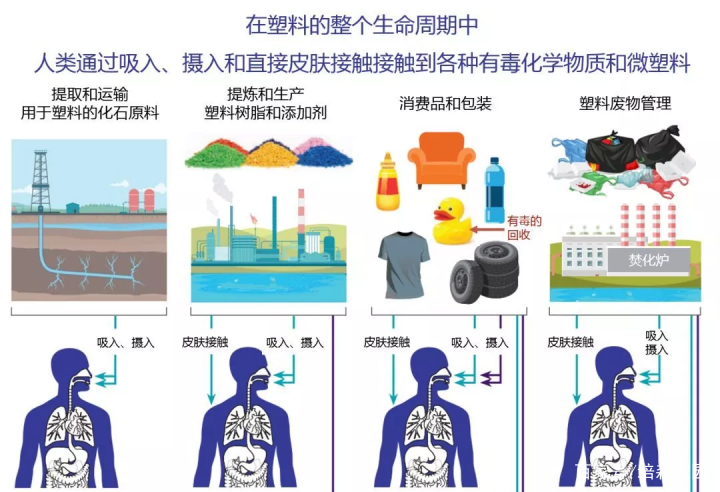 塑料的危害 baijiahao.baidu.com