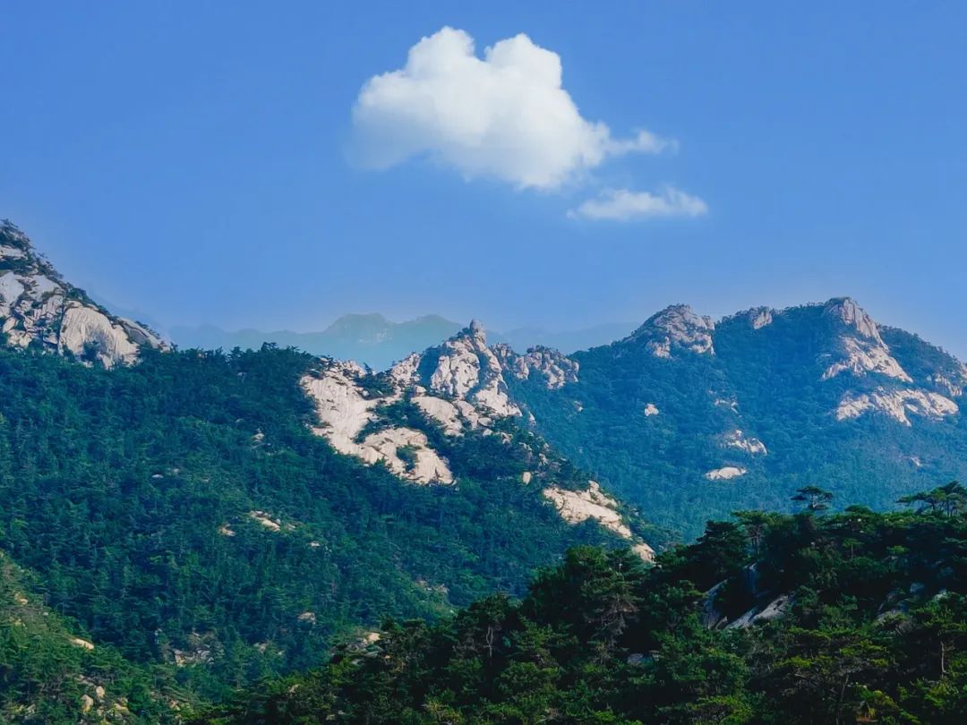 "海上仙山之祖"开山啦!云海,花海,氧吧…难怪秦皇去了都沉醉