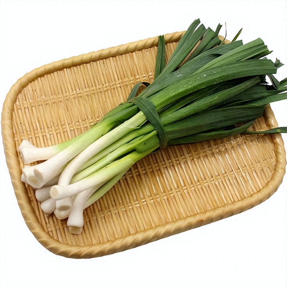 蒜苗机械化收获研究现状与建议