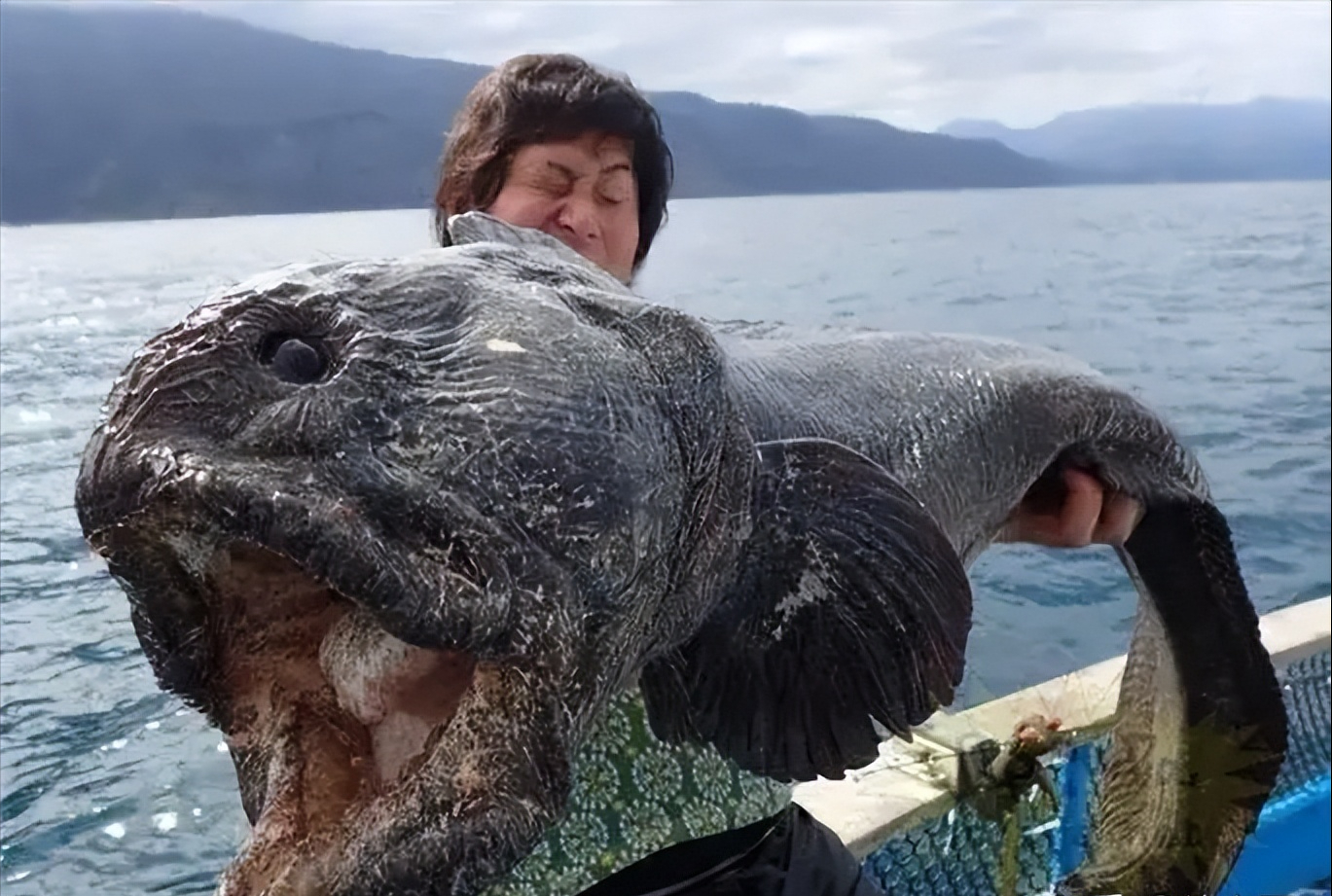 回顾韩国日本核污水无害如今报应来了上万吨鱼死在沙滩