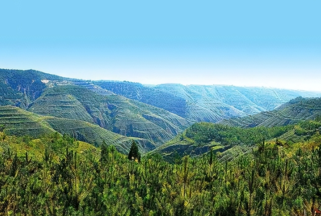 黄土高原植树40年,植被覆盖率达63%,未来黄河水质改善吗?