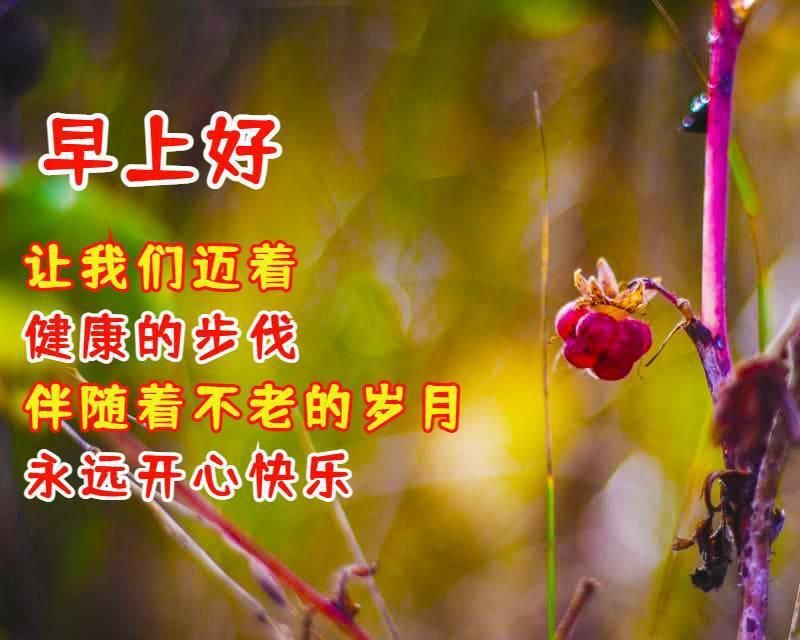 最漂亮早晨好问候语图片带字 新鲜的早上好祝福语图片好看