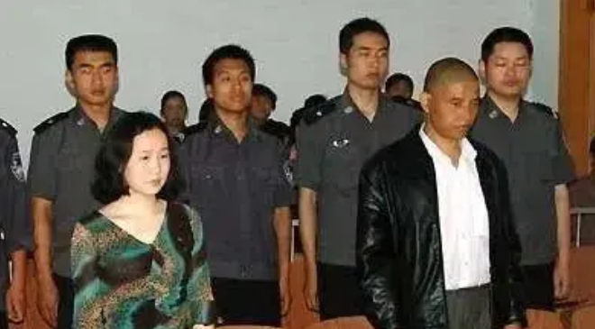 大案要案侦破纪实:安康