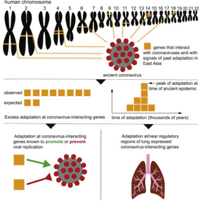 河南上白垩统秋扒组保存完好的新种反鸟"君昌豫鸟"