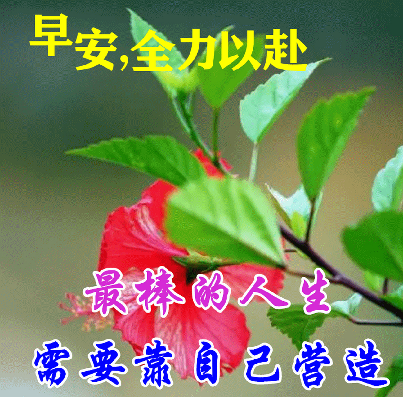 星期日早安暖心祝福圖片帶字帶早上好語錄,祝朋友們幸福吉祥 1,人就像