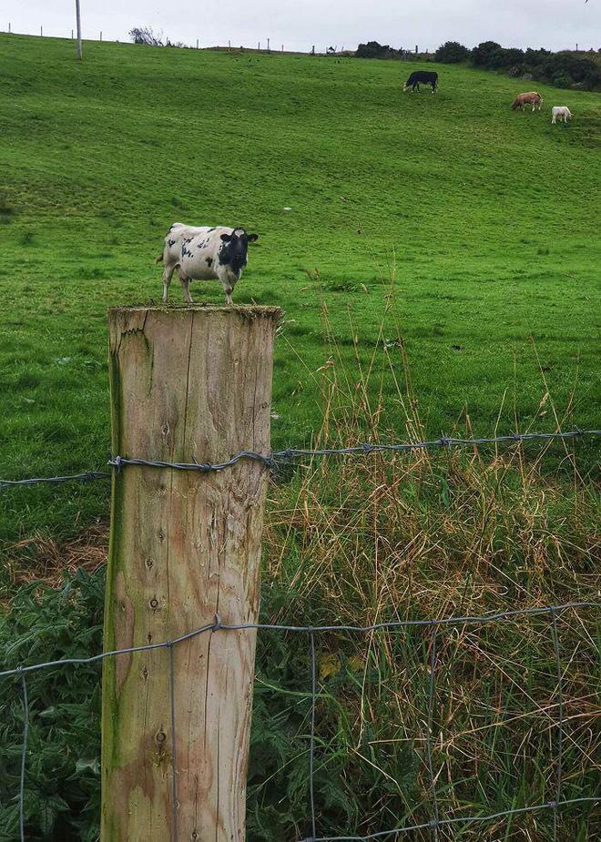 24张让人"看走眼"的图片,多仔细看或许能发现"真相"