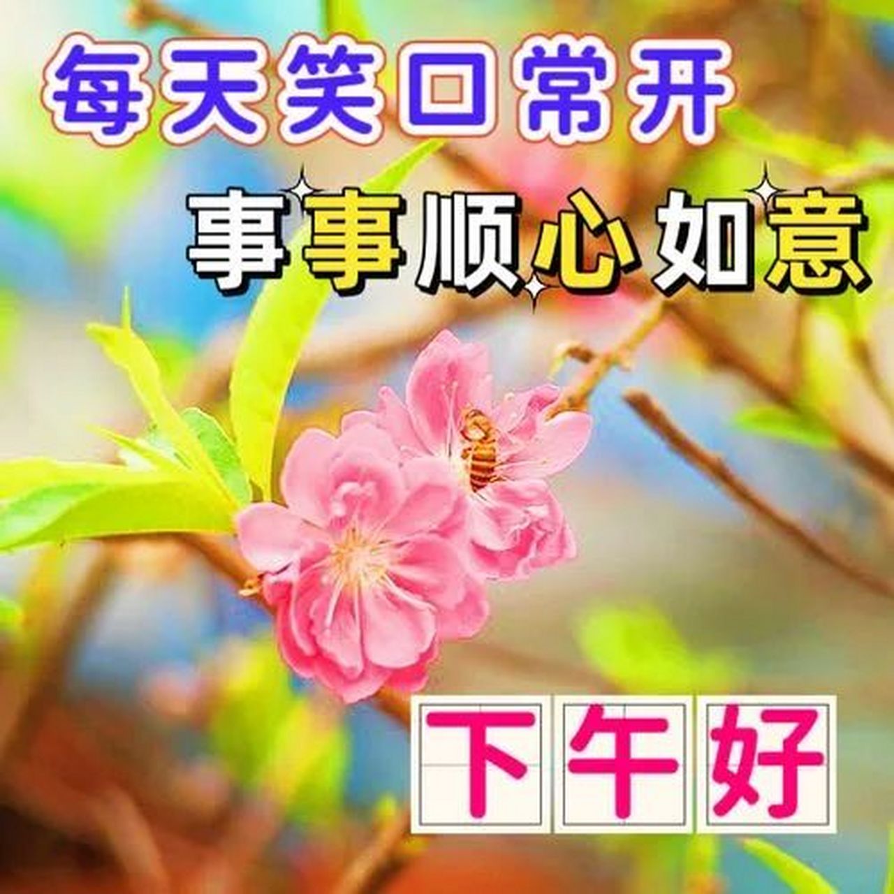 下午好图片最新版,幸福每时每刻 下午好,每一丝清风,都有思念在起舞