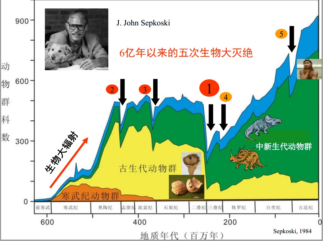 第五次生物大灭绝图片