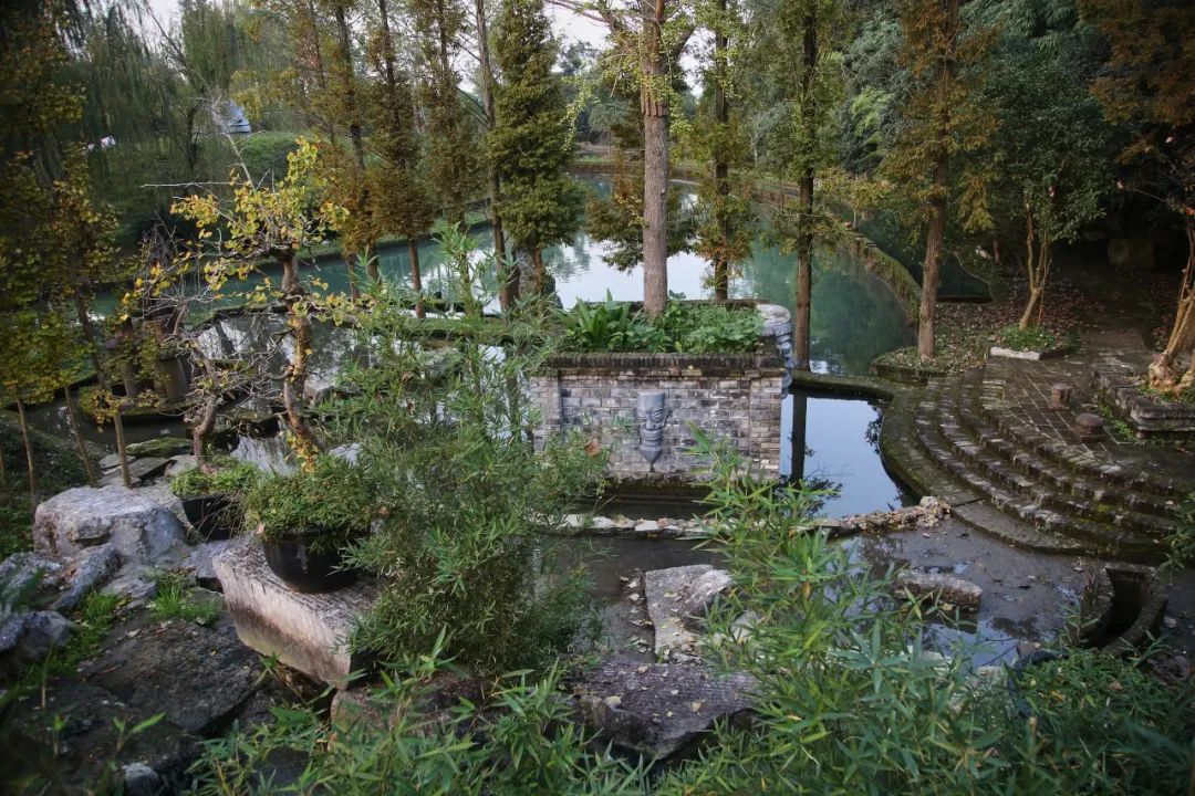 重访鹭鸟庄园:被媒体捧红后,继续孤独打造乐园