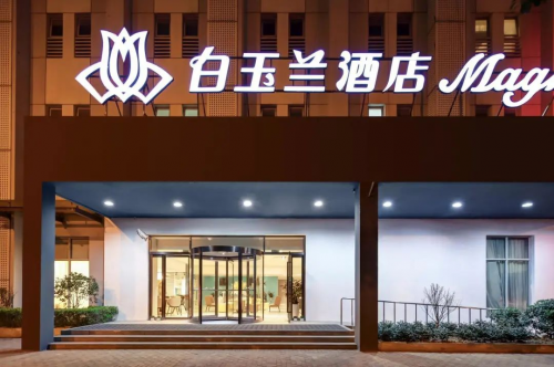 玉兰好眠节|白玉兰酒店预约你的好梦