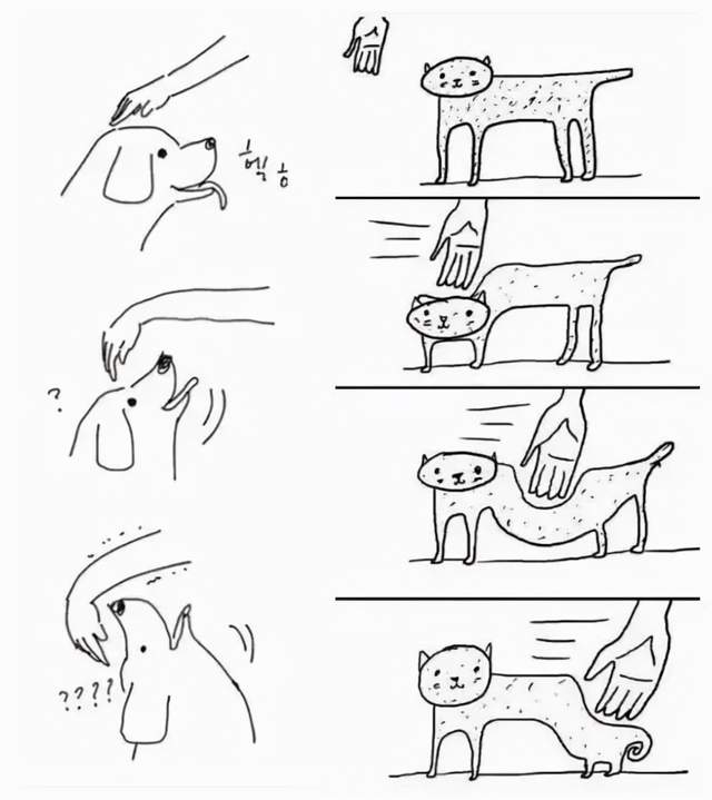 养猫和养狗的区别真的很大铲屎官该如何选择呢