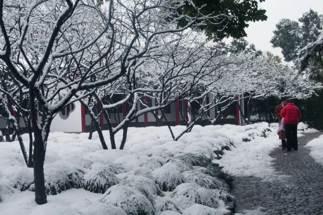 初冬,我在南翔等一场雪