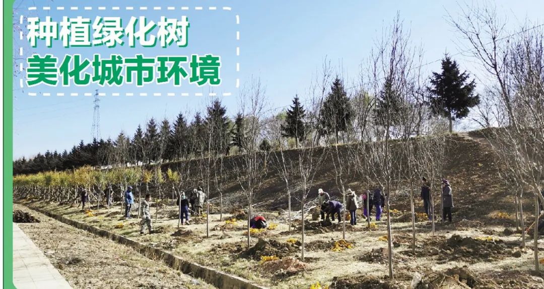 绿化苗木价格参考表