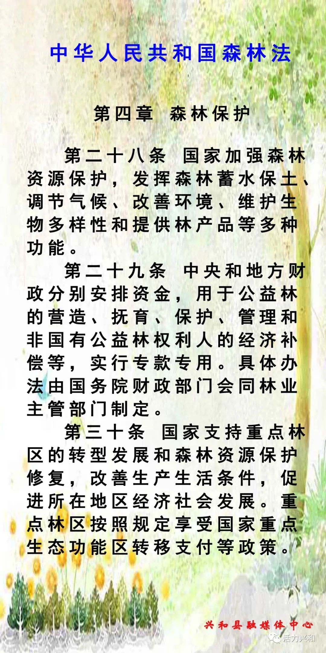 【政策法规】中华人民共和国森林法(三)