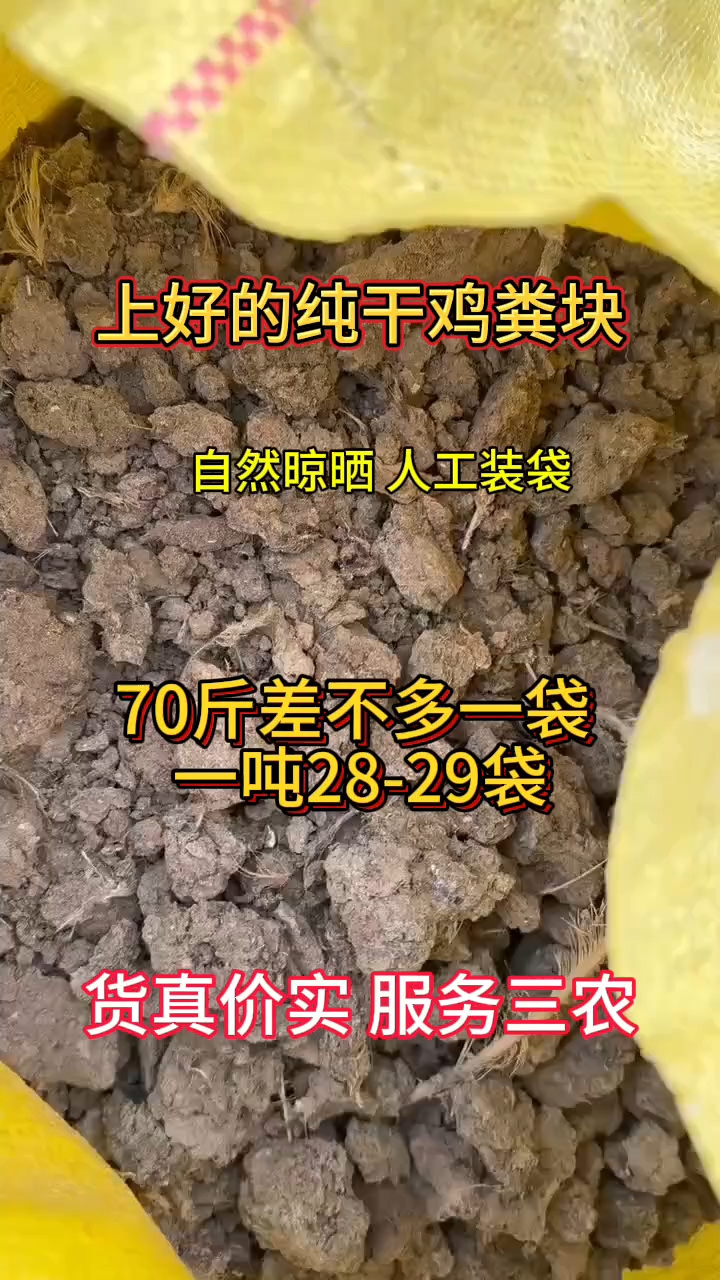 为啥干母鸡会拉屎图片