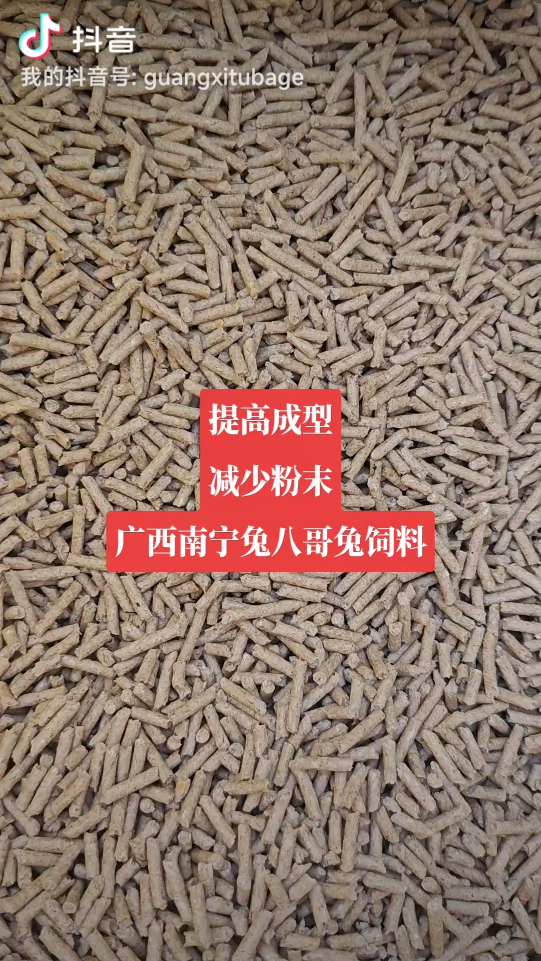 广西兔饲料销售南宁兔饲料